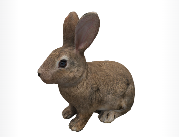 gltf兔-3D模型