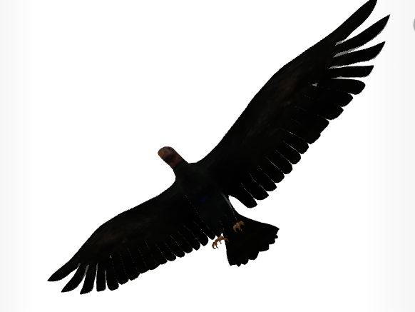 gltf秃鹫-3D模型